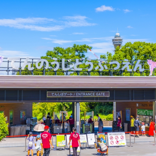 天王寺周辺のおすすめスポット「天王寺動物園」