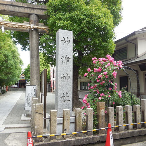 十三周辺のおすすめスポット「神津公園」